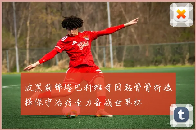 波黑前锋塔巴科维奇因跖骨骨折选择保守治疗全力备战世界杯